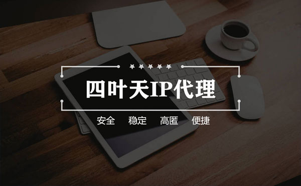 【北海代理IP】如何快速搭建代理IP？怎么检查代理的效果？